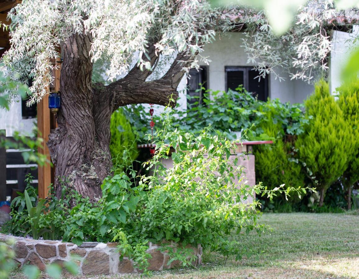 Villa Menie Paralia Sikias Esterno foto