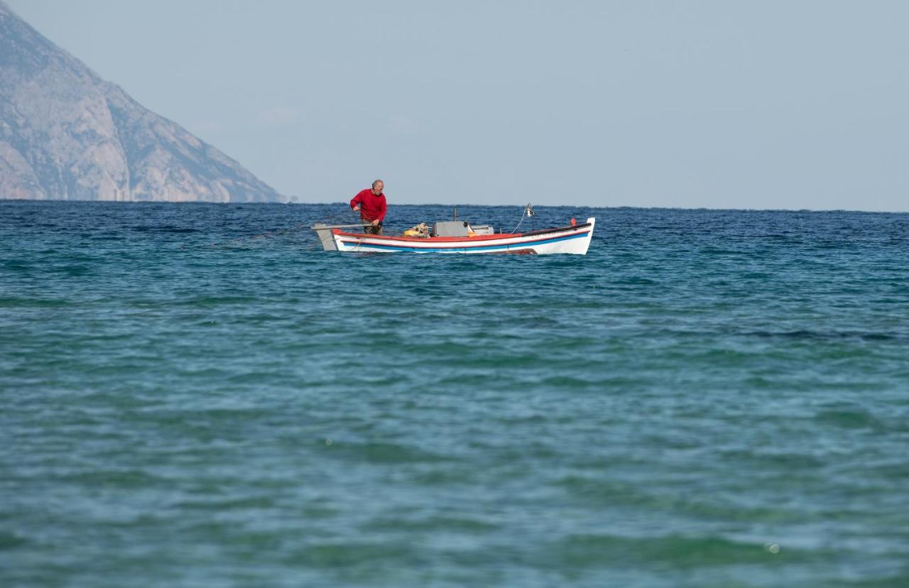 Villa Menie Paralia Sikias Esterno foto